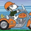 platz_harley
